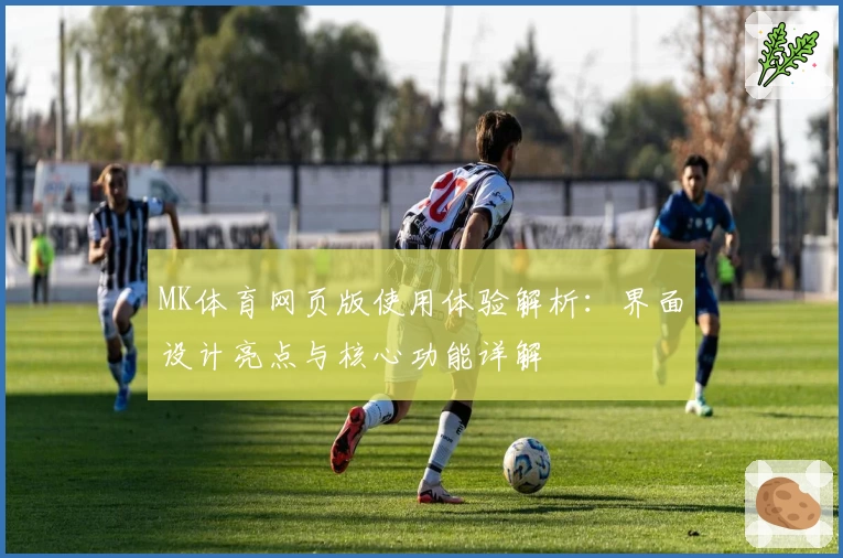 MK体育网页版使用体验解析：界面设计亮点与核心功能详解