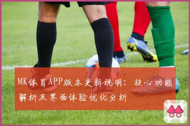 MK体育APP版本更新说明：核心功能解析及界面体验优化分析